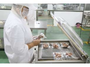簡料開箱 臺灣鹵肉飯料包的清香與新速食哲學「大同·一休」測評